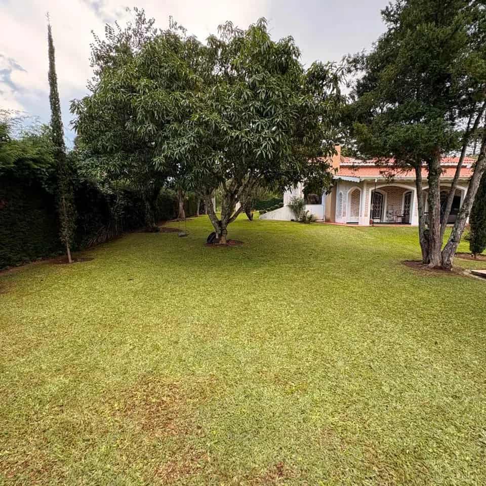Jardins Residenciais: Transforme seu lar com um gramado impecável