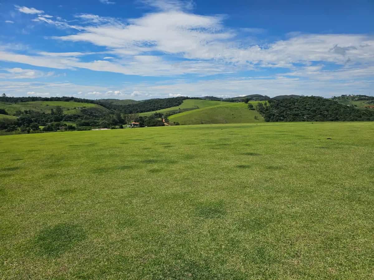 Operação de colheita da grama no campo
